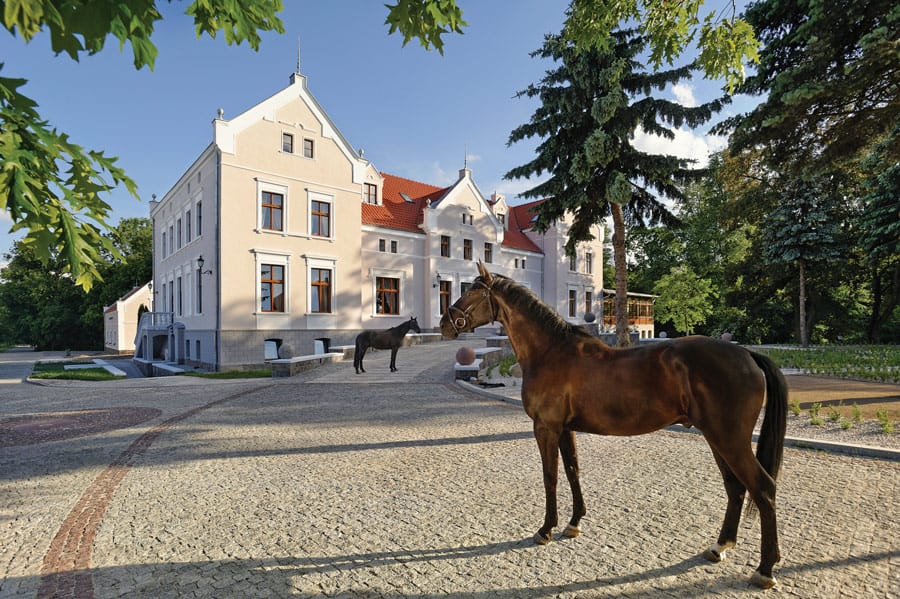 Hotel nad jeziorem – Pałac Mortęgi na Mazurach. Hotel nad jeziorem – Pałac Mortęgi